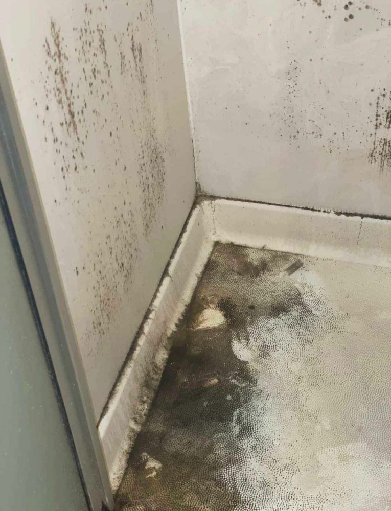 Cleaned surface