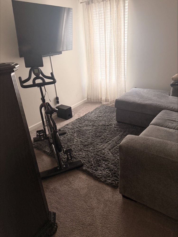 Bright and airy living room, freshly cleaned